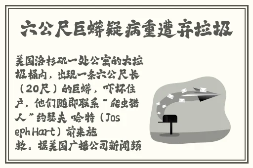 一共有多少种B型照片